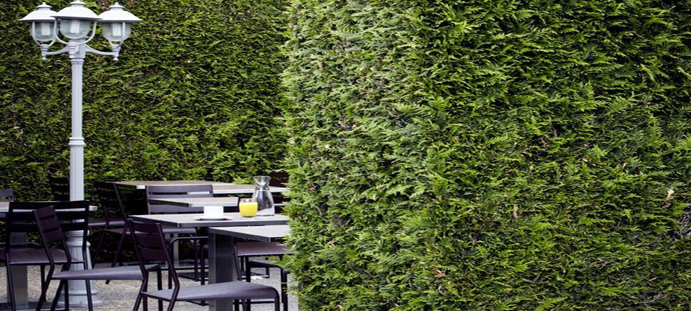 Campanile Grenoble Nord - Saint-Egreve Hotel Restoran gambar